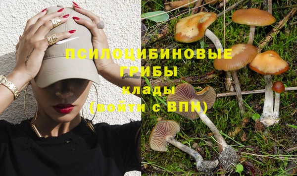 ECSTASY Наволоки