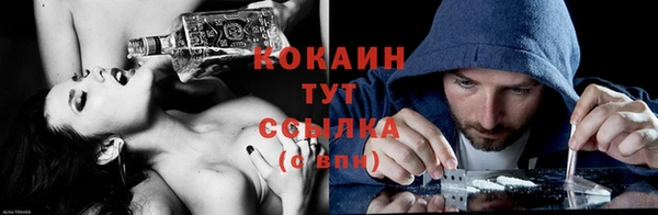 дживик Навашино
