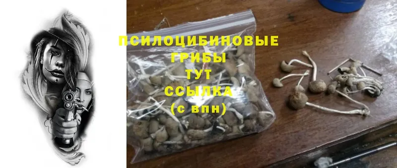 Псилоцибиновые грибы Magic Shrooms  закладки  Ярославль 